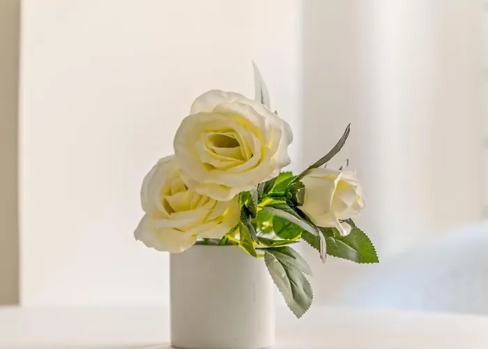 A 200m De La Playa Locos * Torrevieja